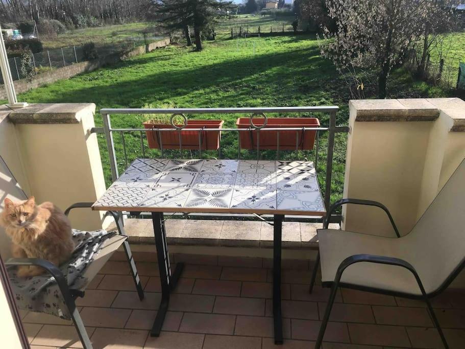 Ferienwohnung Piccolo Borgo Lucca Exterior foto